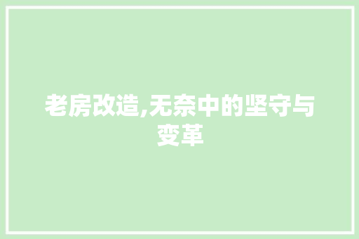 老房改造,无奈中的坚守与变革