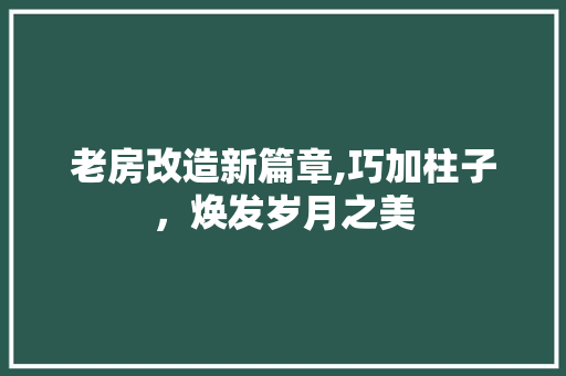 老房改造新篇章,巧加柱子，焕发岁月之美