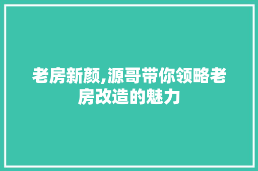 老房新颜,源哥带你领略老房改造的魅力