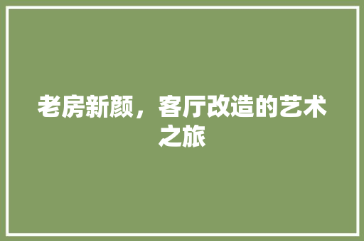老房新颜，客厅改造的艺术之旅 装修材料