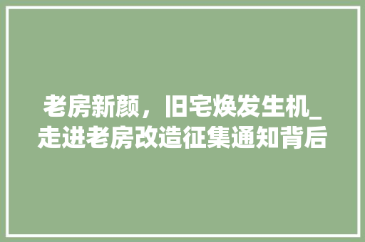 老房新颜，旧宅焕发生机_走进老房改造征集通知背后的故事 景观设计