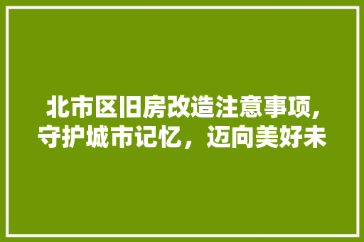 北市区旧房改造注意事项,守护城市记忆，迈向美好未来 隔断设计