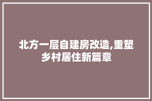 北方一层自建房改造,重塑乡村居住新篇章