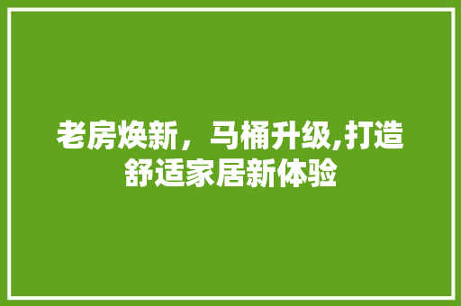 老房焕新，马桶升级,打造舒适家居新体验