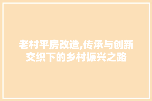 老村平房改造,传承与创新交织下的乡村振兴之路