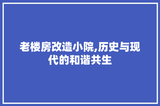 老楼房改造小院,历史与现代的和谐共生