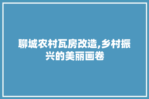 聊城农村瓦房改造,乡村振兴的美丽画卷