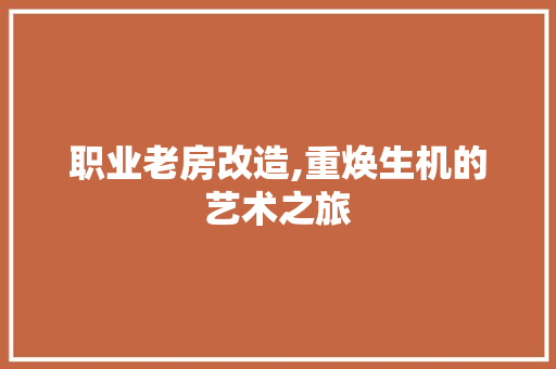 职业老房改造,重焕生机的艺术之旅 地面装修