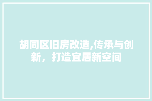 胡同区旧房改造,传承与创新，打造宜居新空间