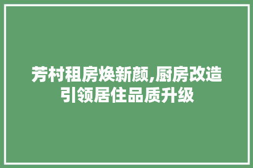 芳村租房焕新颜,厨房改造引领居住品质升级