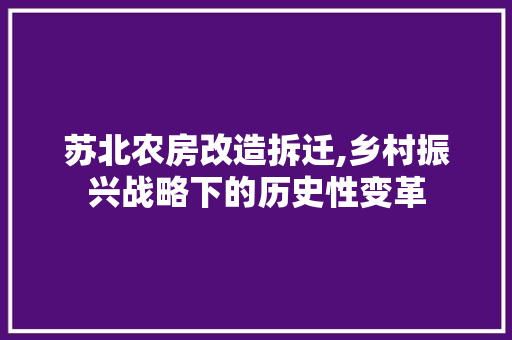 苏北农房改造拆迁,乡村振兴战略下的历史性变革