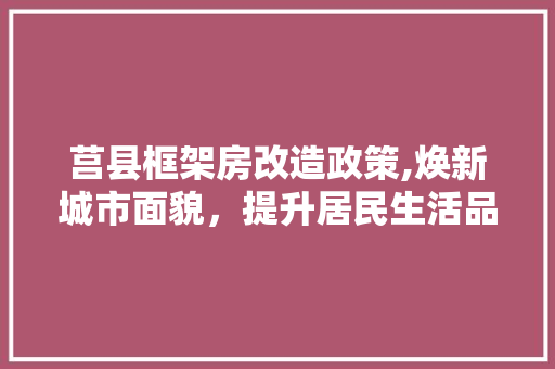 莒县框架房改造政策,焕新城市面貌，提升居民生活品质 墙面装饰