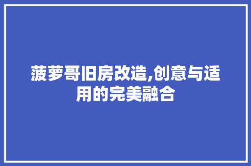 菠萝哥旧房改造,创意与适用的完美融合 地面装修