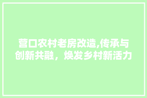营口农村老房改造,传承与创新共融，焕发乡村新活力
