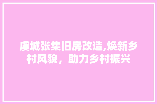 虞城张集旧房改造,焕新乡村风貌，助力乡村振兴 庭院装修