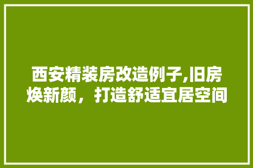 西安精装房改造例子,旧房焕新颜，打造舒适宜居空间 建筑设计