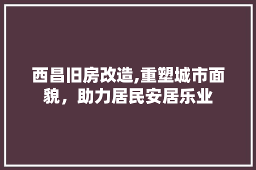 西昌旧房改造,重塑城市面貌，助力居民安居乐业 建筑设计