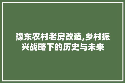 豫东农村老房改造,乡村振兴战略下的历史与未来 墙面装饰