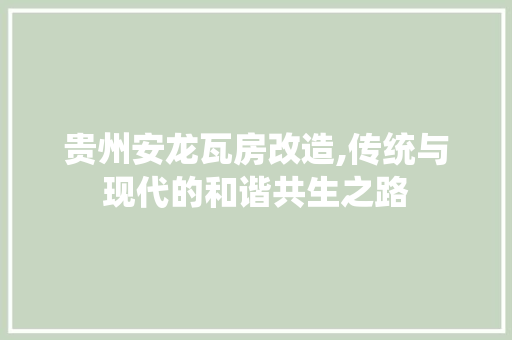 贵州安龙瓦房改造,传统与现代的和谐共生之路 建筑设计