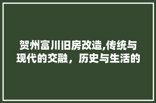 贺州富川旧房改造,传统与现代的交融，历史与生活的交响 装修攻略