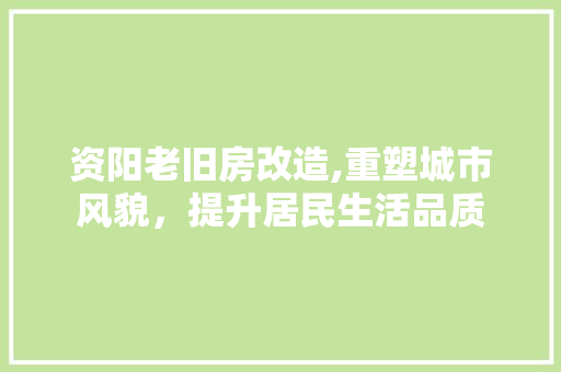 资阳老旧房改造,重塑城市风貌，提升居民生活品质