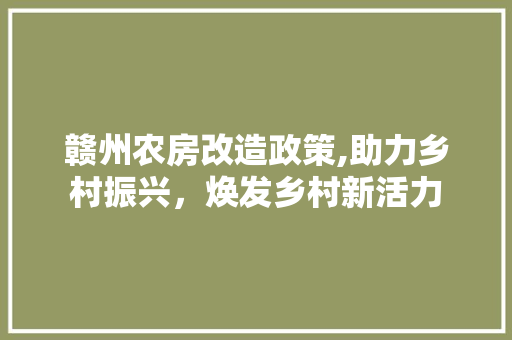 赣州农房改造政策,助力乡村振兴，焕发乡村新活力 隔断设计