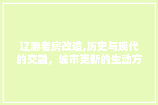 辽源老房改造,历史与现代的交融，城市更新的生动方法