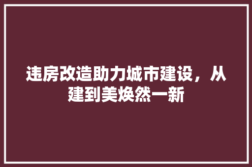 违房改造助力城市建设，从建到美焕然一新