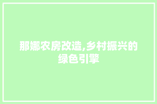 那娜农房改造,乡村振兴的绿色引擎 门窗装修