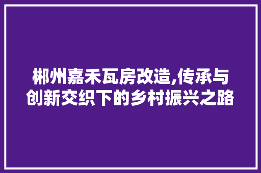 郴州嘉禾瓦房改造,传承与创新交织下的乡村振兴之路 门窗装修