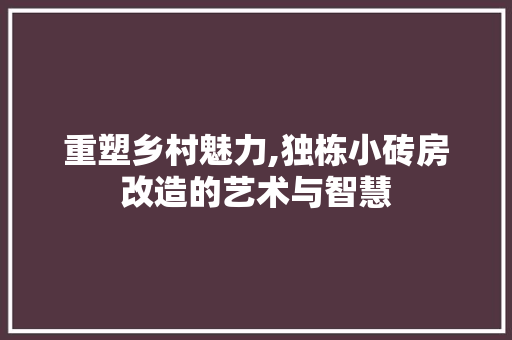 重塑乡村魅力,独栋小砖房改造的艺术与智慧 建筑设计 重塑乡村魅力,独栋小砖房改造的艺术与智慧 建筑设计