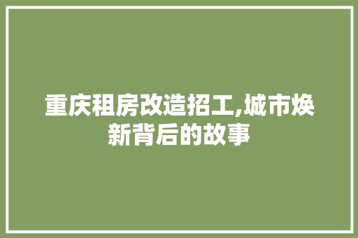 重庆租房改造招工,城市焕新背后的故事