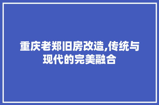 重庆老郑旧房改造,传统与现代的完美融合 景观设计