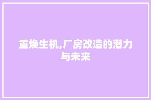 重焕生机,厂房改造的潜力与未来