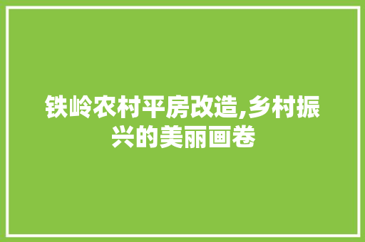 铁岭农村平房改造,乡村振兴的美丽画卷
