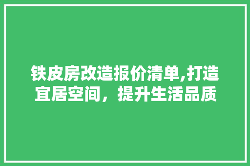 铁皮房改造报价清单,打造宜居空间，提升生活品质