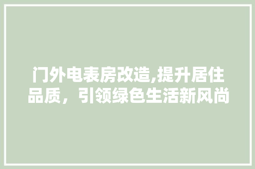 门外电表房改造,提升居住品质，引领绿色生活新风尚