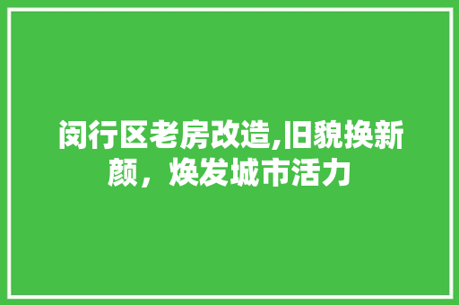 闵行区老房改造,旧貌换新颜，焕发城市活力 庭院装修
