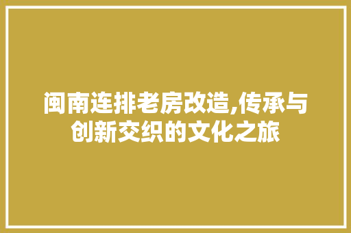 闽南连排老房改造,传承与创新交织的文化之旅