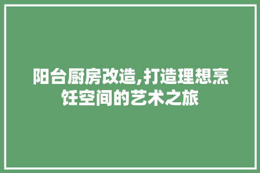 阳台厨房改造,打造理想烹饪空间的艺术之旅 庭院装修