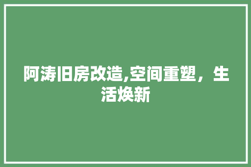 阿涛旧房改造,空间重塑，生活焕新 隔断设计