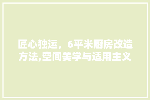 匠心独运，6平米厨房改造方法,空间美学与适用主义的完美融合