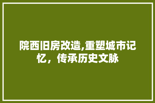 院西旧房改造,重塑城市记忆，传承历史文脉