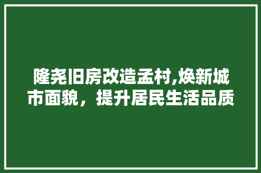隆尧旧房改造孟村,焕新城市面貌，提升居民生活品质 景观设计