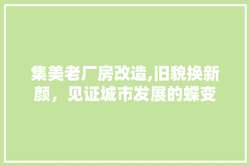 集美老厂房改造,旧貌换新颜，见证城市发展的蝶变