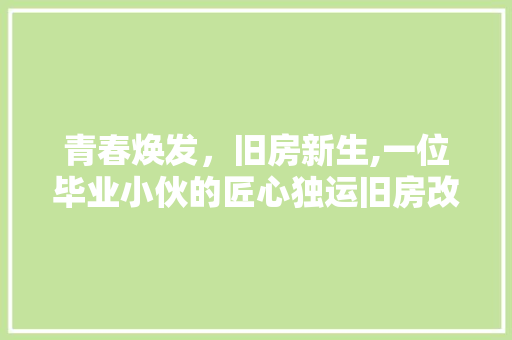 青春焕发，旧房新生,一位毕业小伙的匠心独运旧房改造之旅