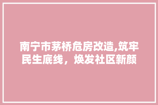 南宁市茅桥危房改造,筑牢民生底线，焕发社区新颜