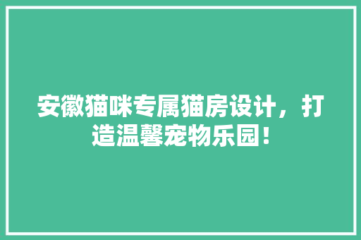 安徽猫咪专属猫房设计，打造温馨宠物乐园！ 景观设计