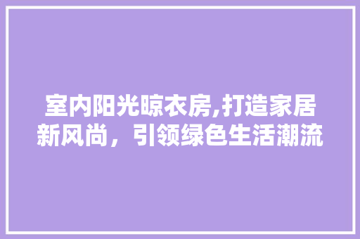 室内阳光晾衣房,打造家居新风尚，引领绿色生活潮流