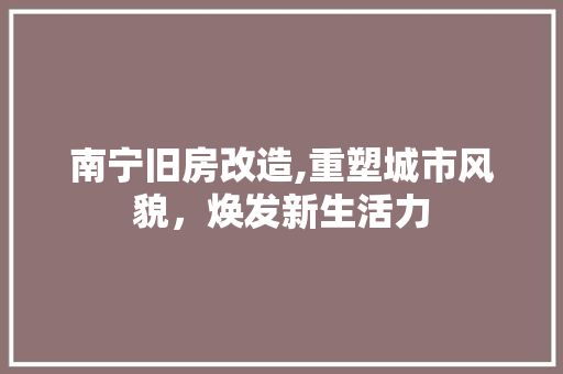 南宁旧房改造,重塑城市风貌，焕发新生活力